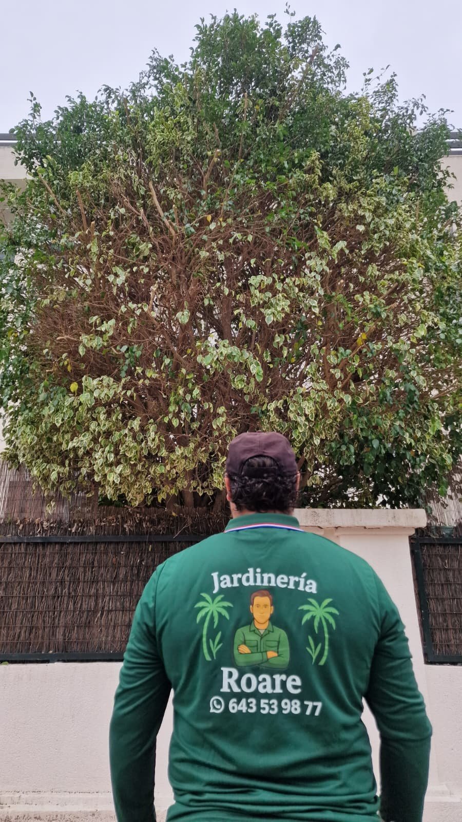 Equipo Jardinería Roare Granada