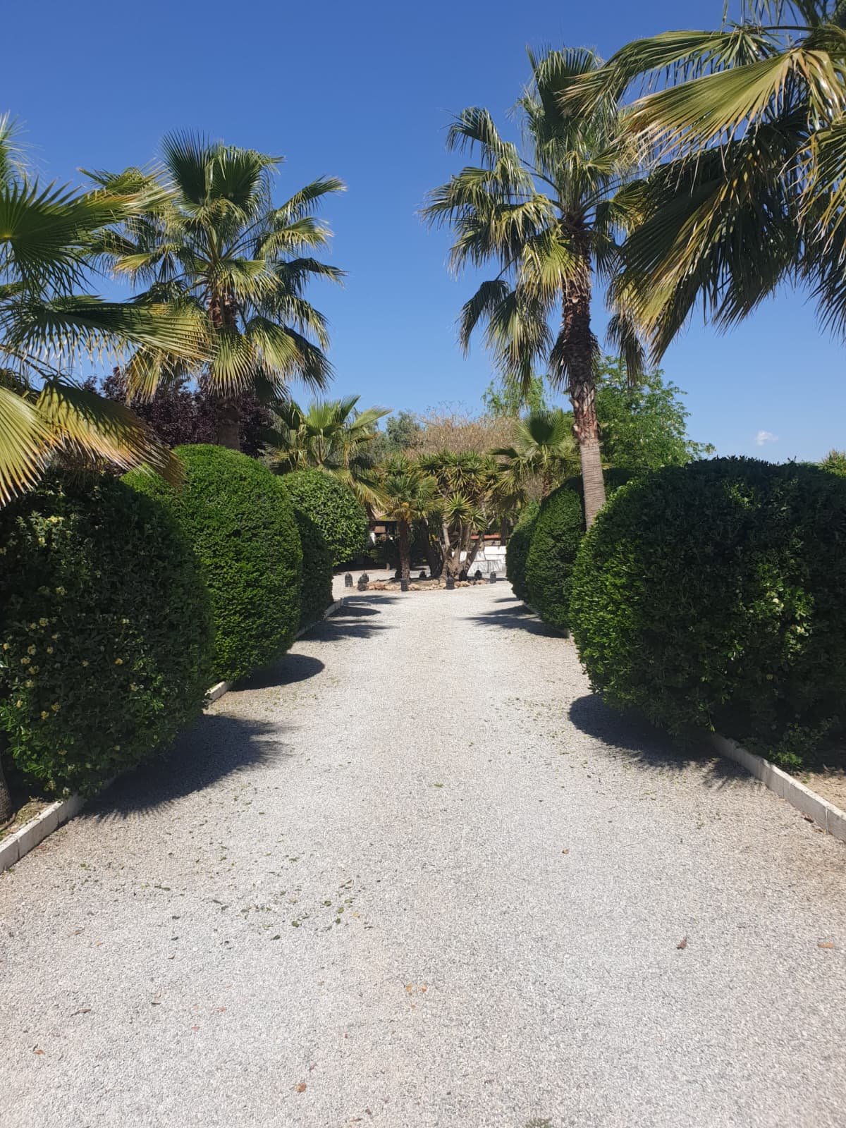 Diseño jardín Granada